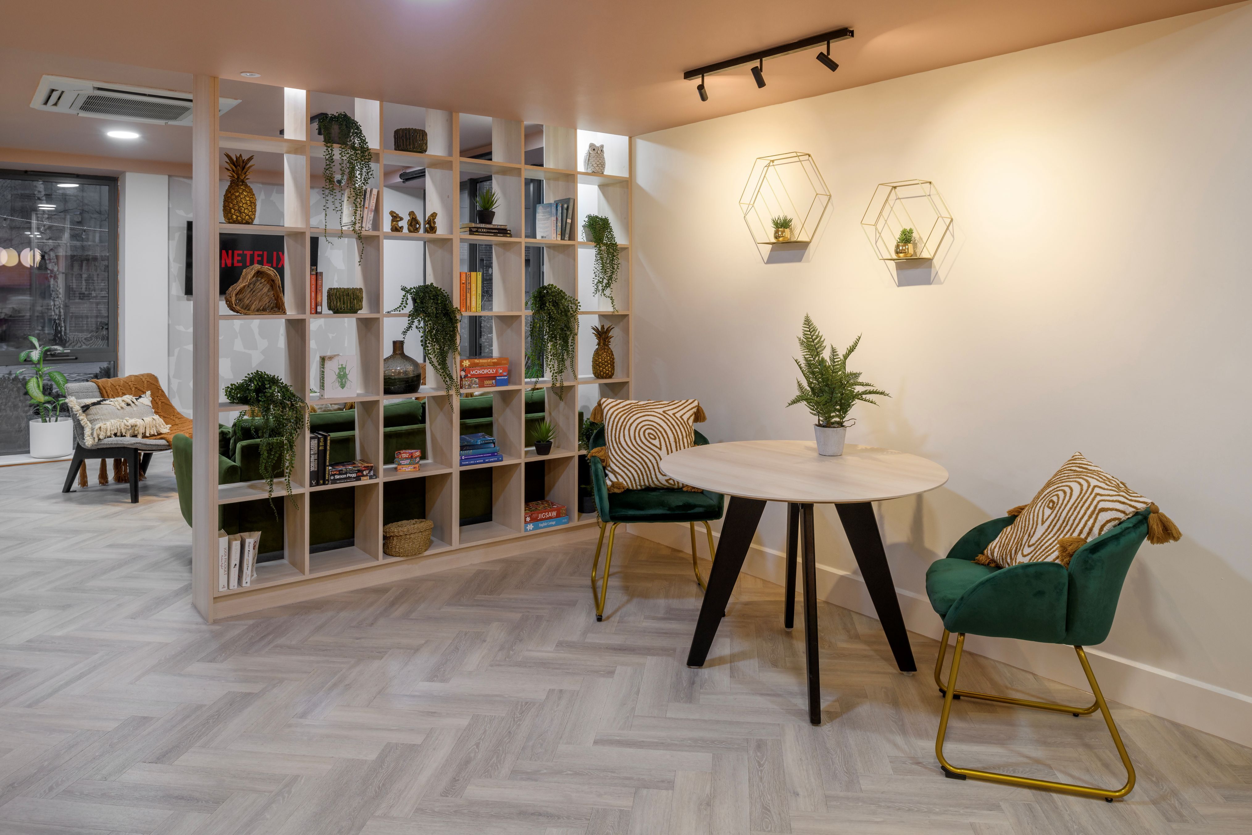 Tramways social study area